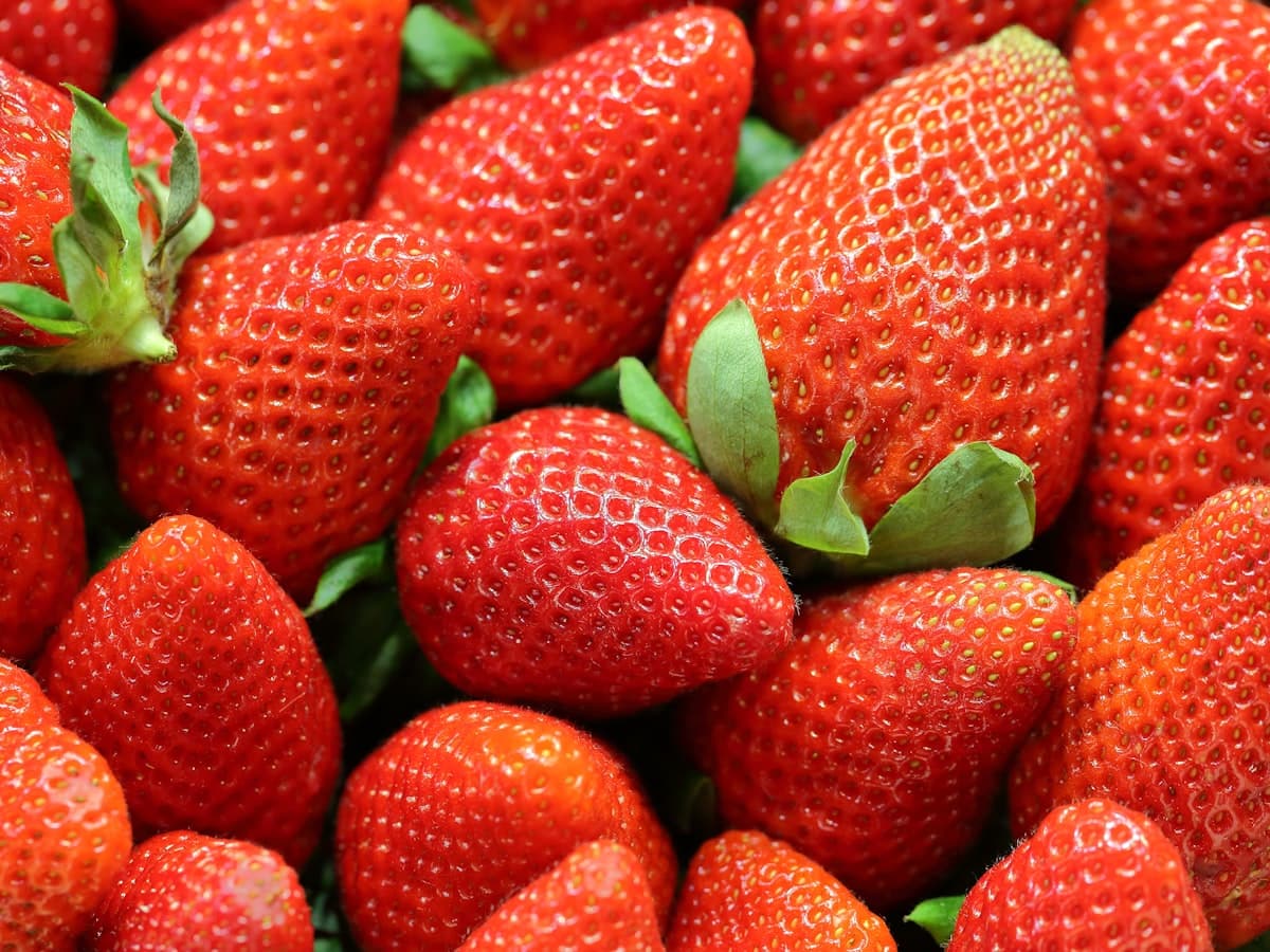 Large dessert strawberries